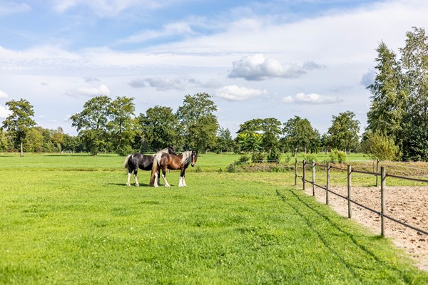 Medium property photo - Halbe Wiersemaweg 6, 9365 TB Niebert